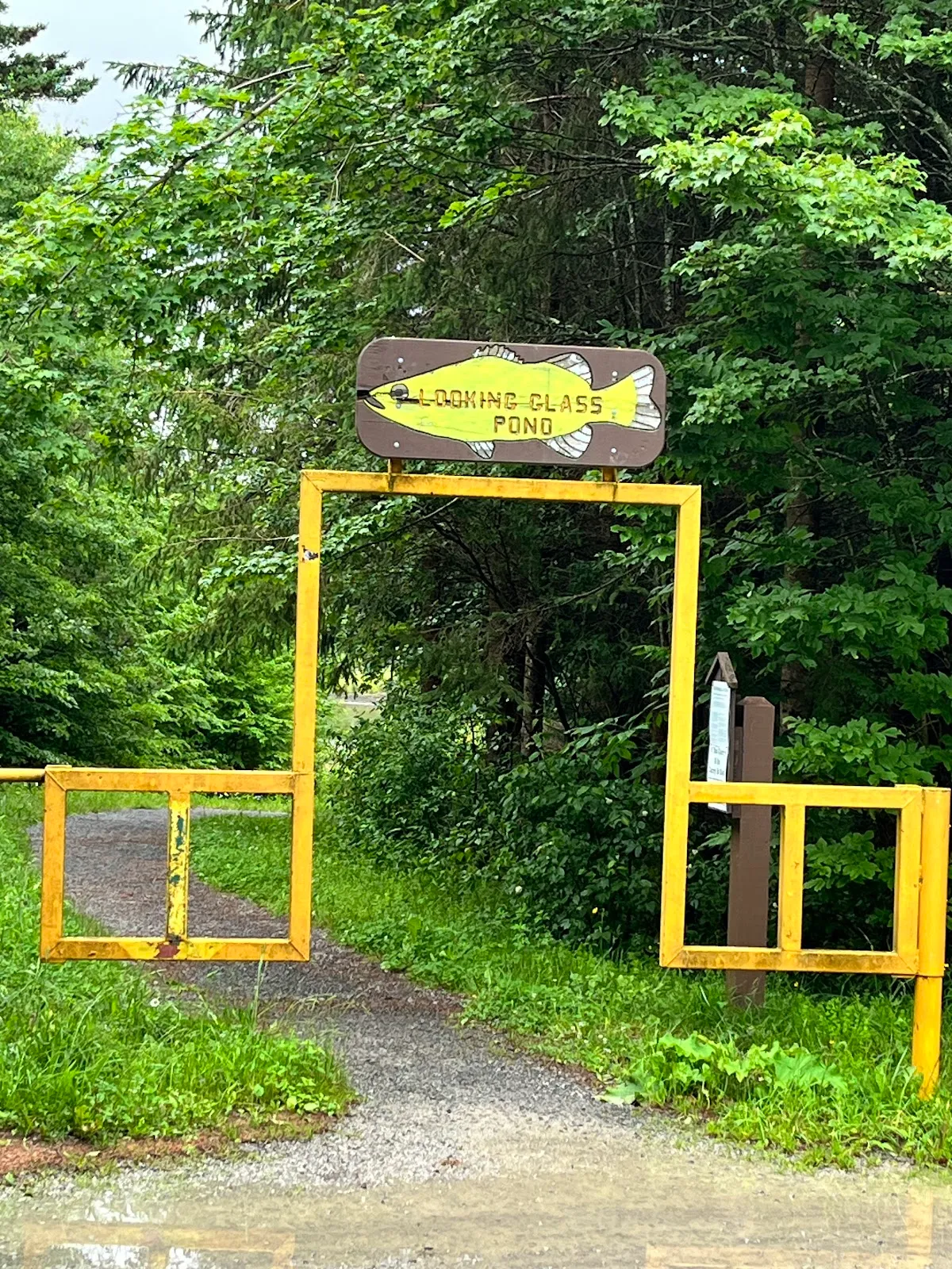 Looking Glass Pond