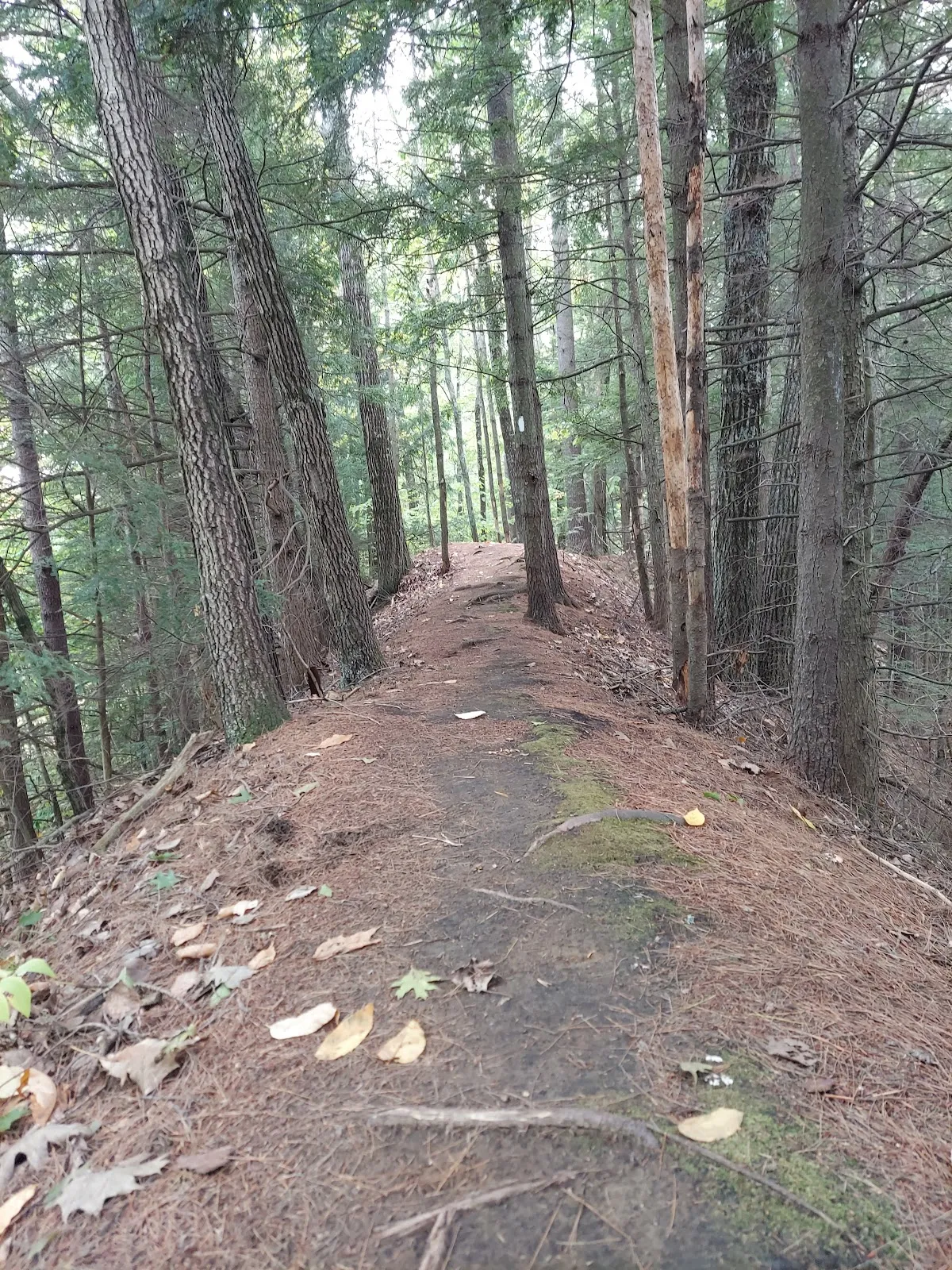 Crown Point Trail