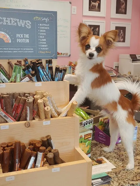 Woof Gang Bakery & Grooming Summerville