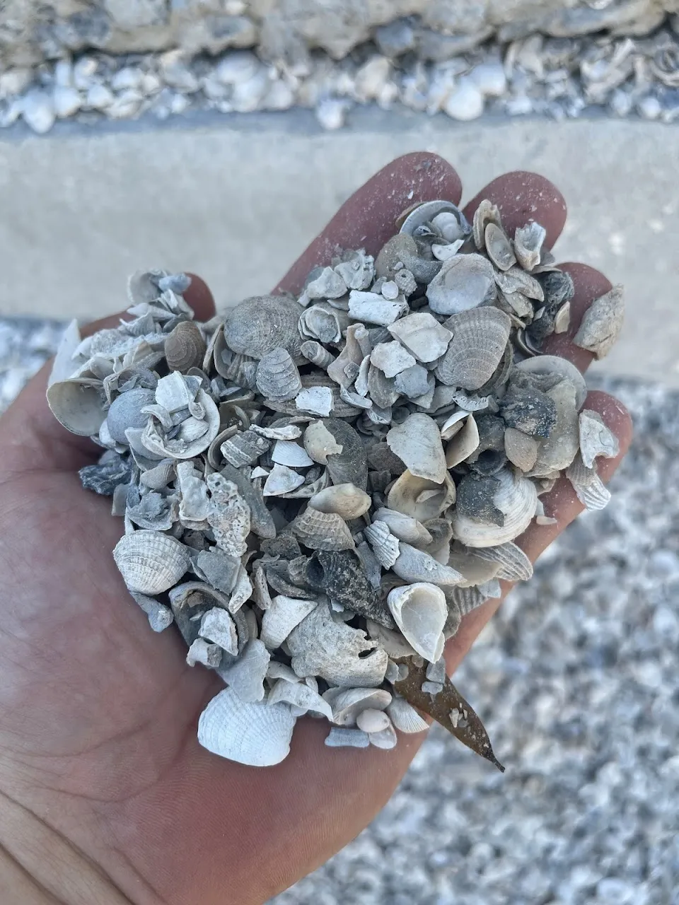 Taylor's Landscape Supply - Summerville