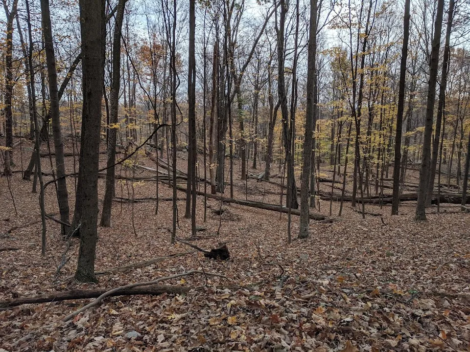 Winding Hills County Park