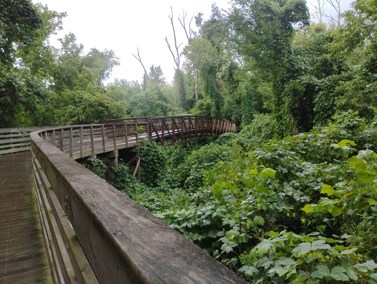 Noonday Creek Trail, Woodstock, GA