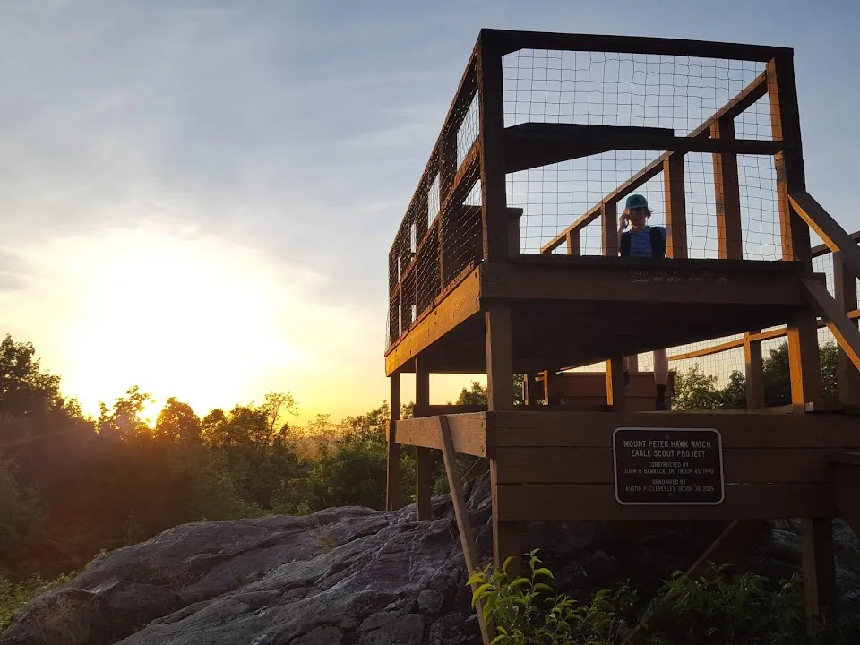 Mount Peter Hawk Watch