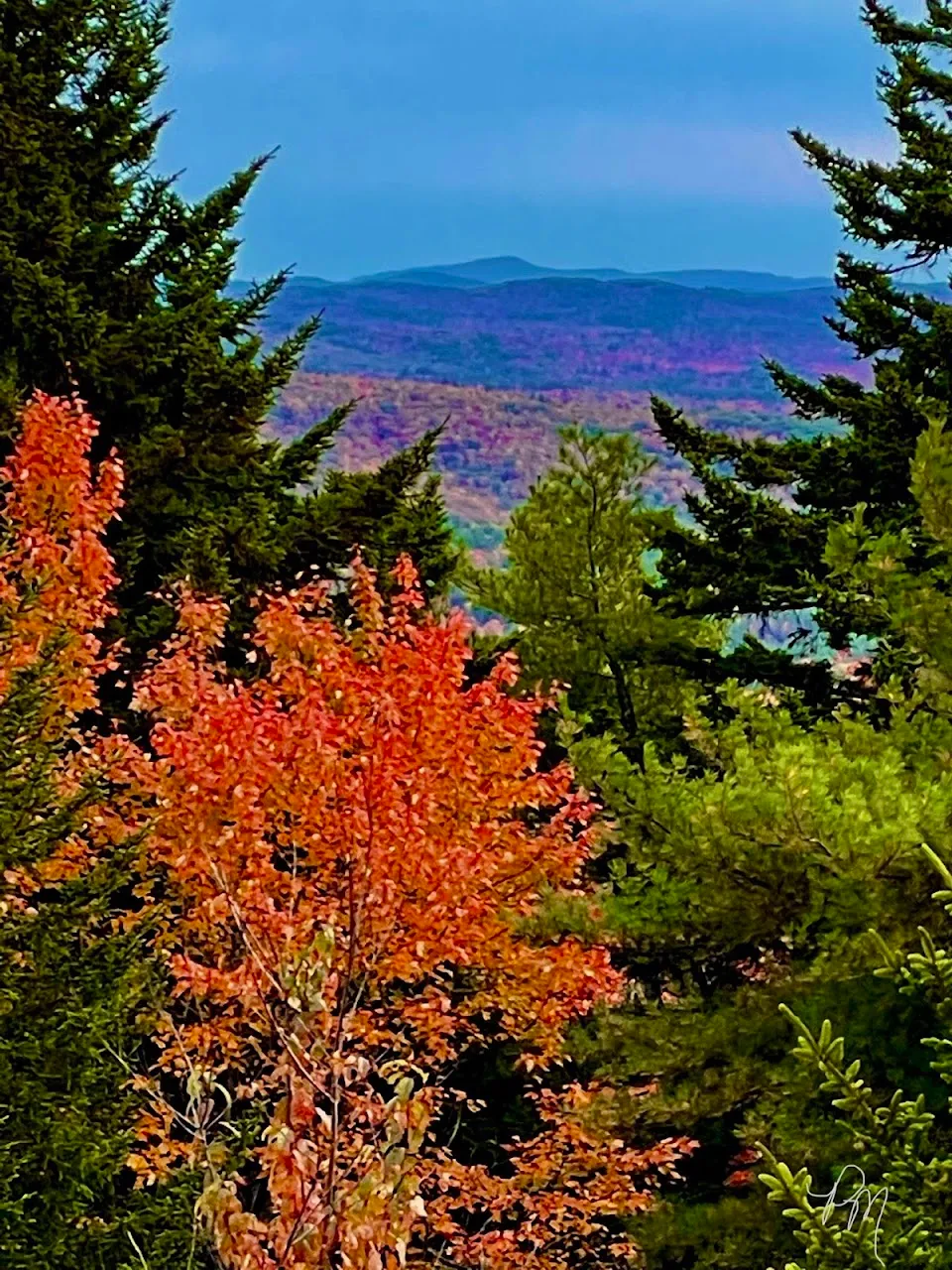 Silver Mountain