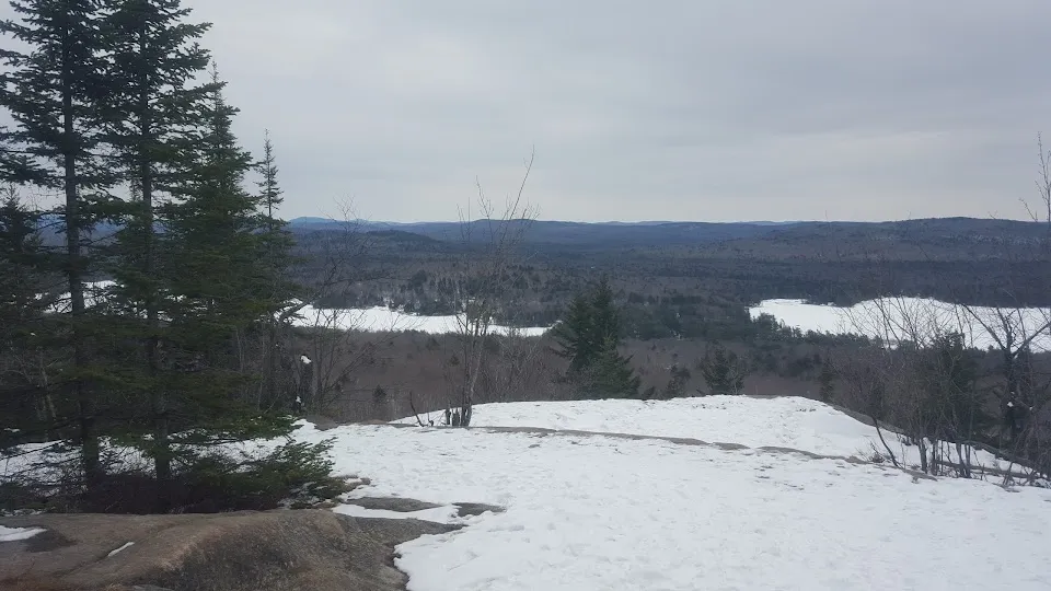 Bald Mountain Pond