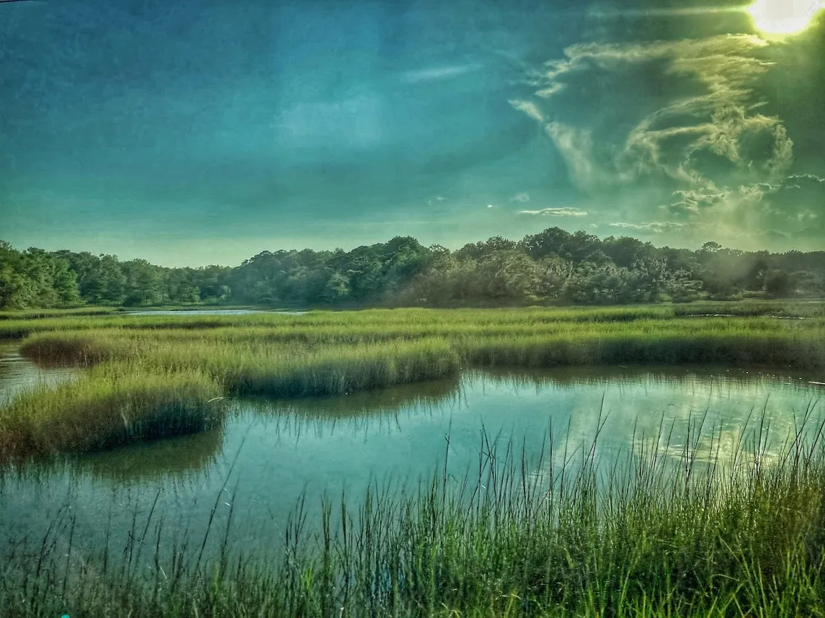 Edisto Beach State Park