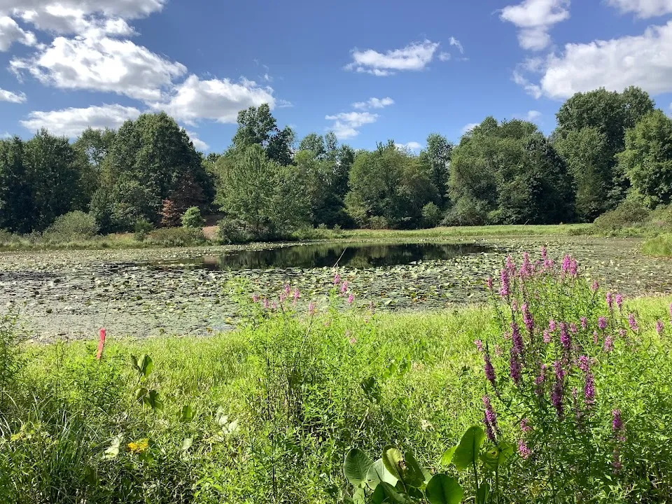 Stewart State Forest