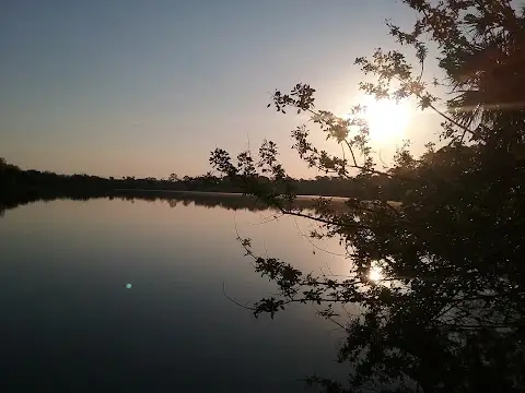 Otter Park North