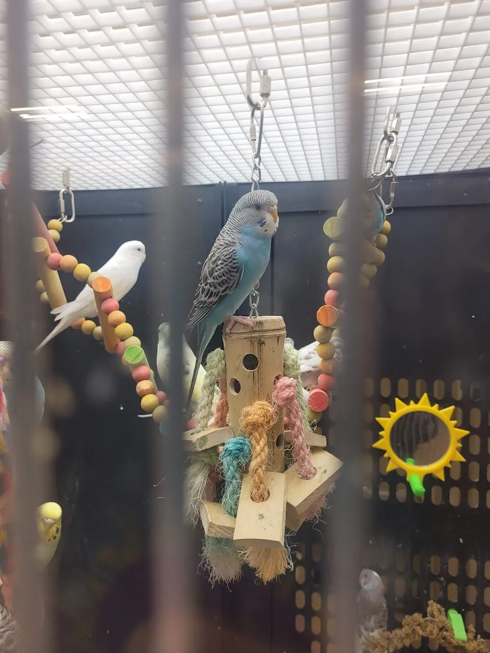 PetSmart