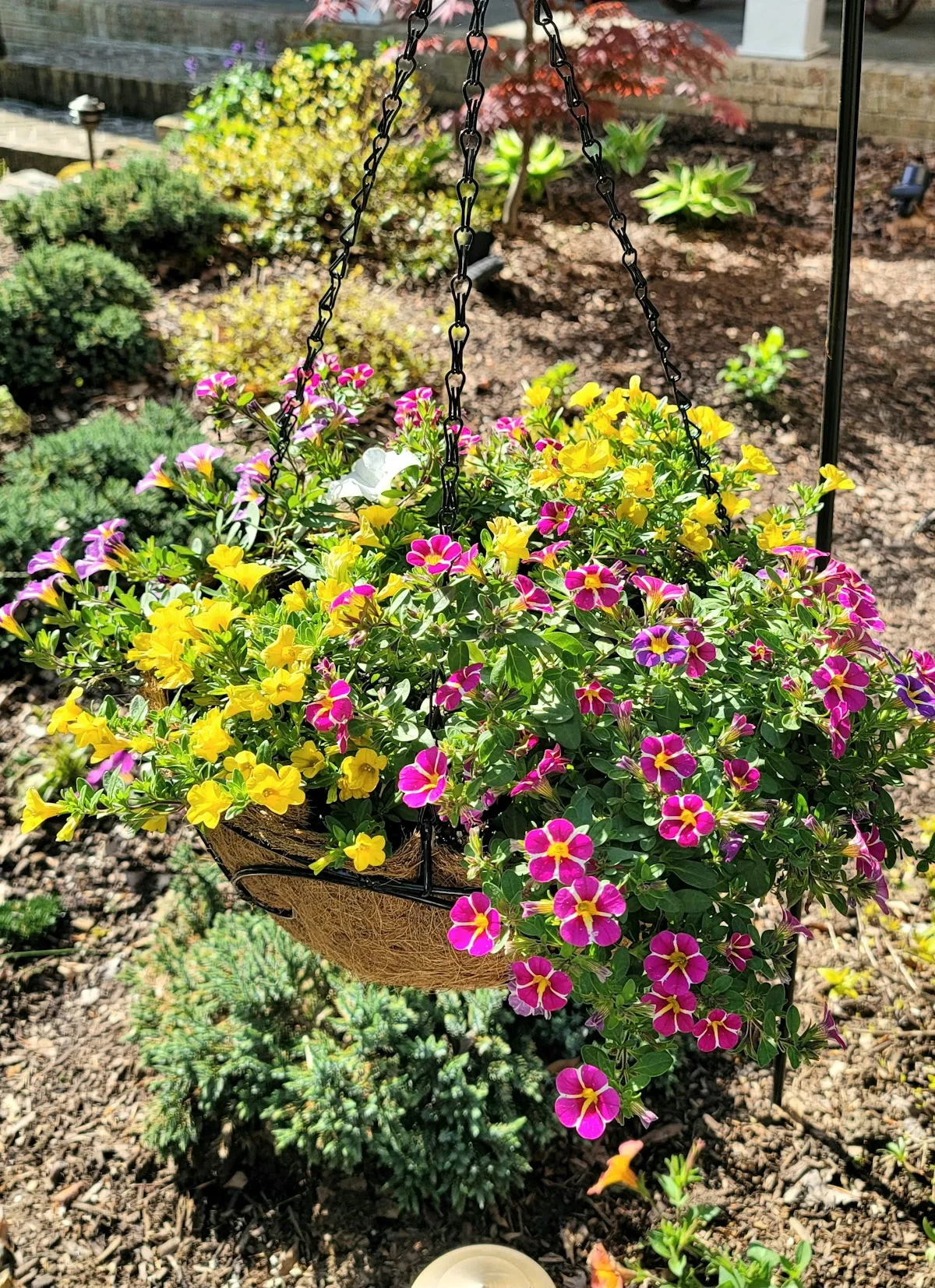 Corbin Creek Greenhouse
