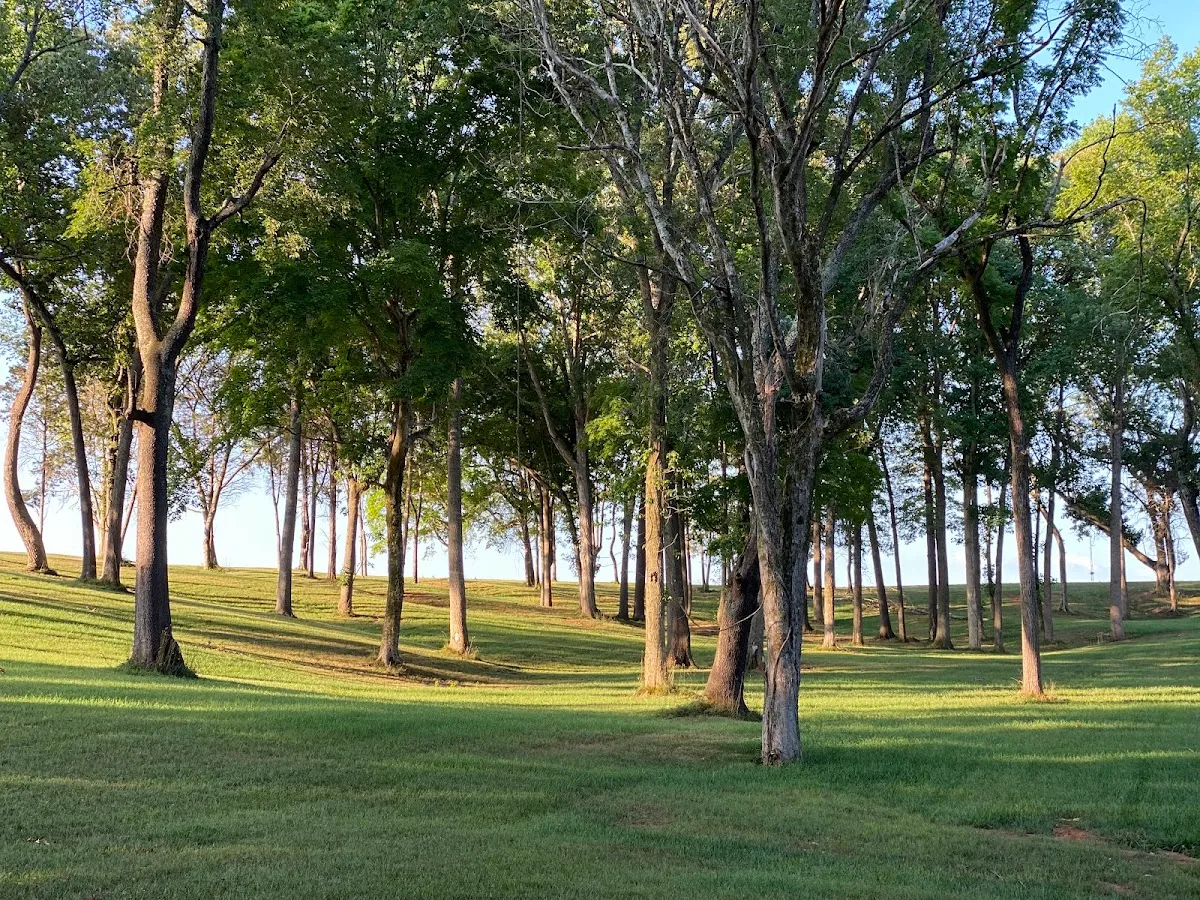 The Cedars At Carr Farm