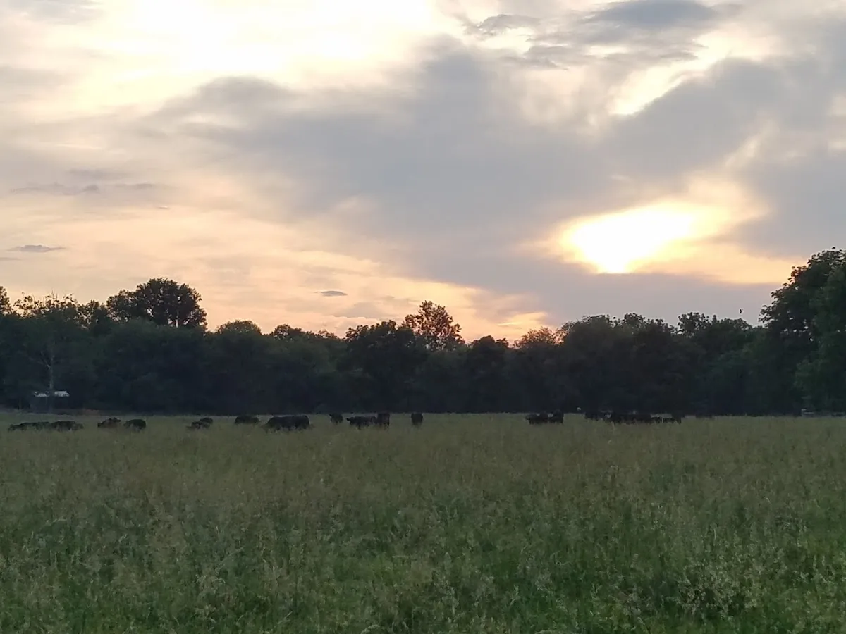 The Meadow at Fern Valley (on Sunrise Farm on the Soque)