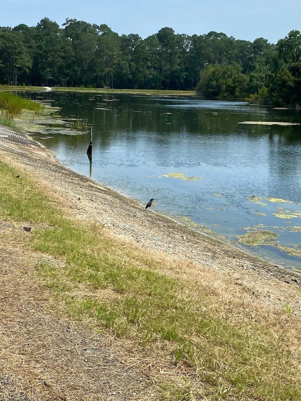 Joseph Tribble Park
