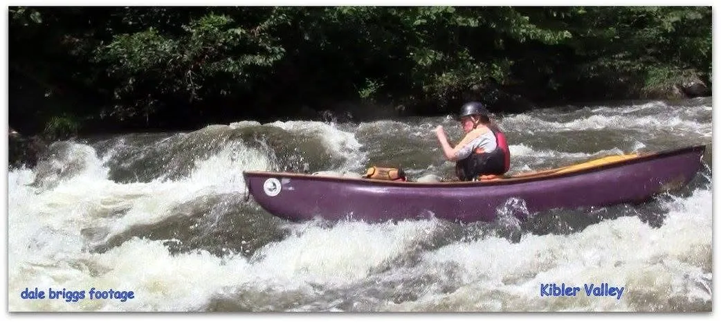 Dan River Company