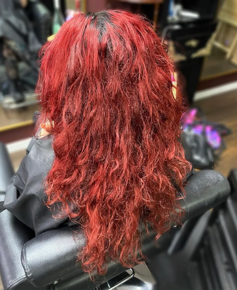 Salon Alter Ego Inc.