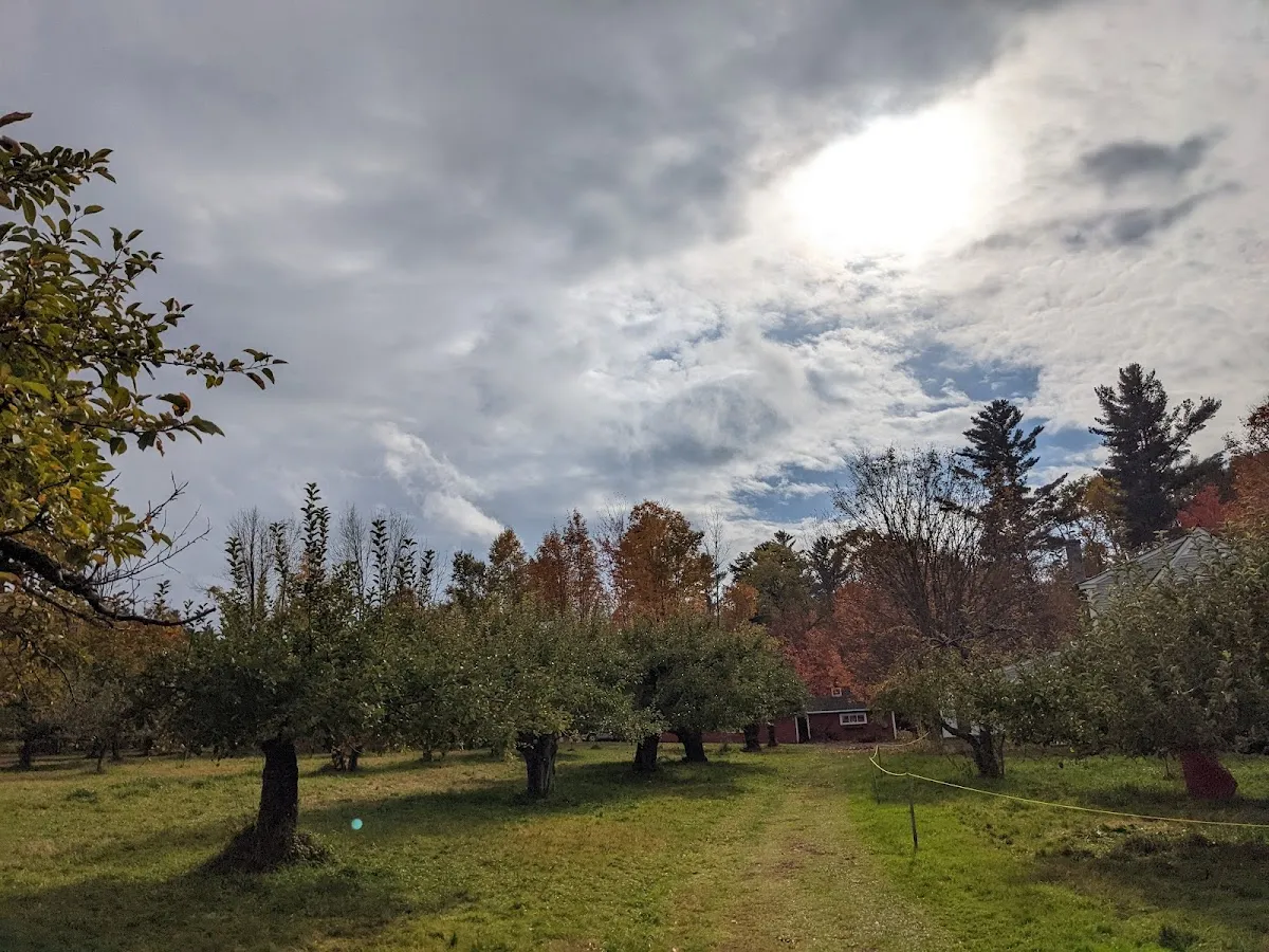 King Blossom Farm
