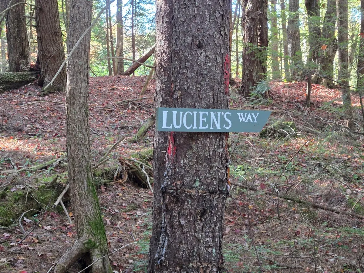 Ledge Pond Trail