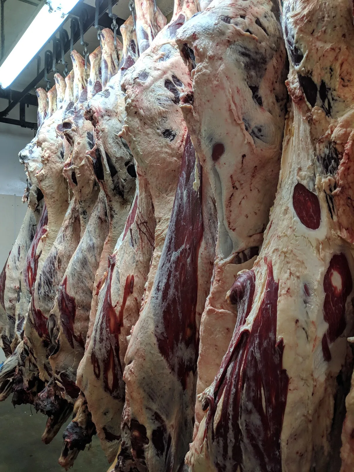 Mitchell's Meat Processing, Inc.