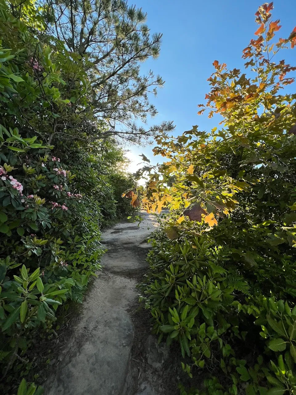 The Channels Natural Area Preserve
