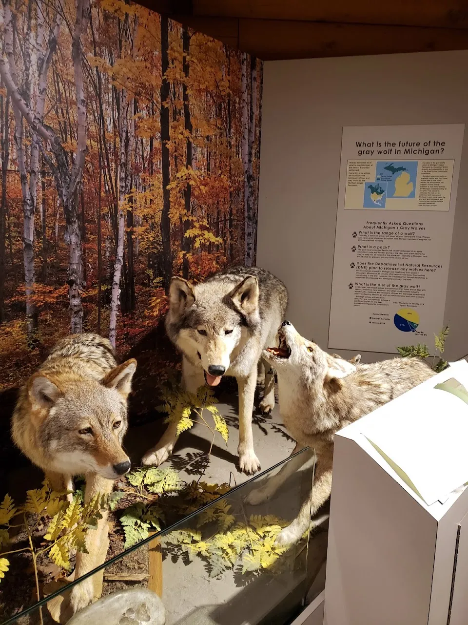Carl T. Johnson Hunting and Fishing Center