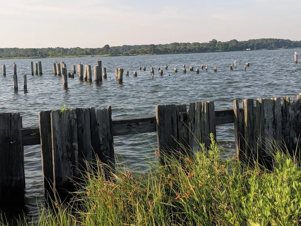 Claiborne Jetty