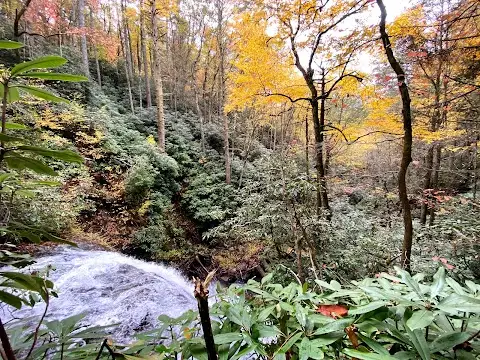 Middle Falls on Thomas Creek