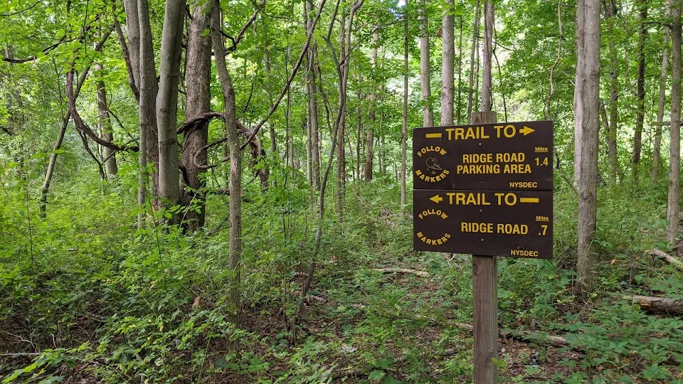 Stewart State Forest