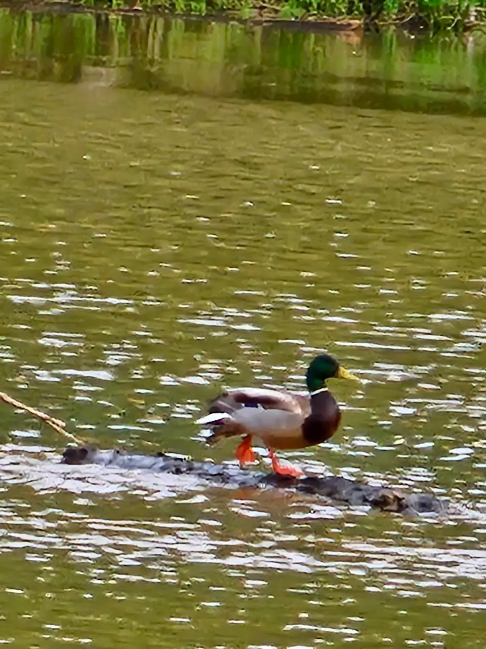 Lake Sinclair Recreation Area