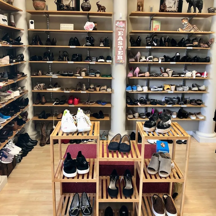 The Fashion Safari
