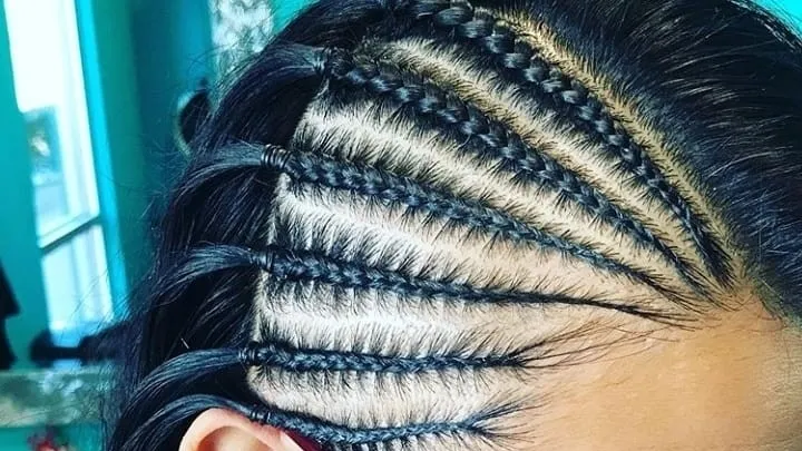 Shear Shea's