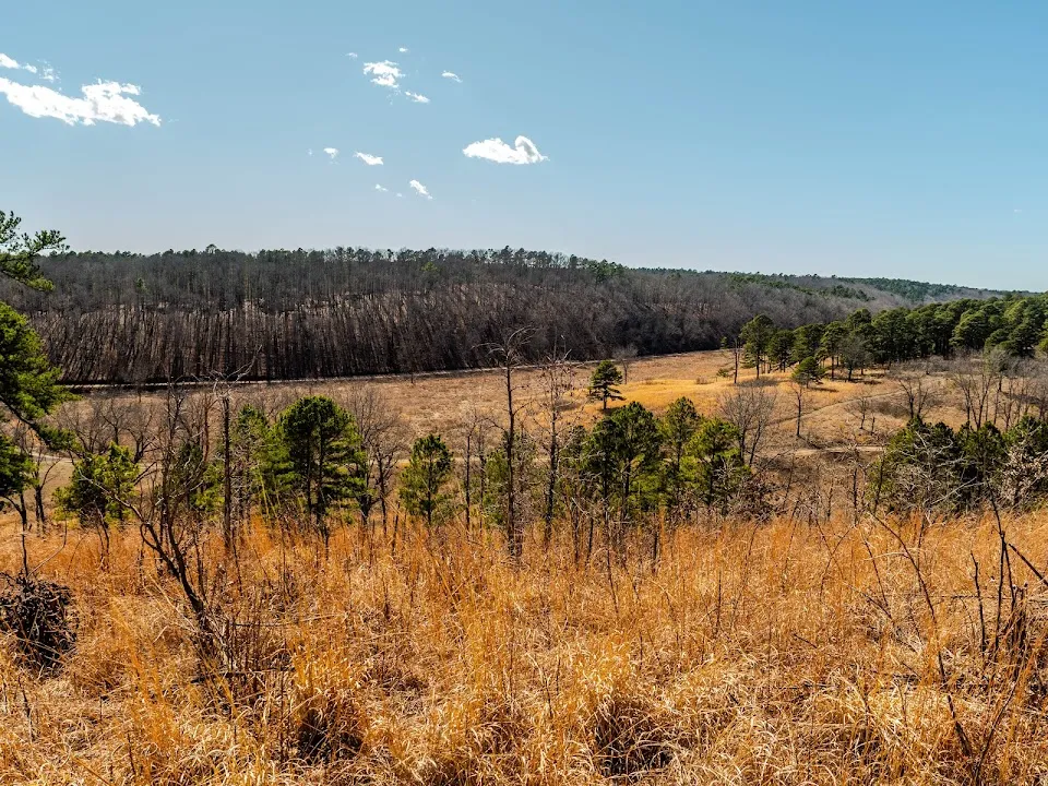 J T Nickel Family Nature And Wildlife Preserve