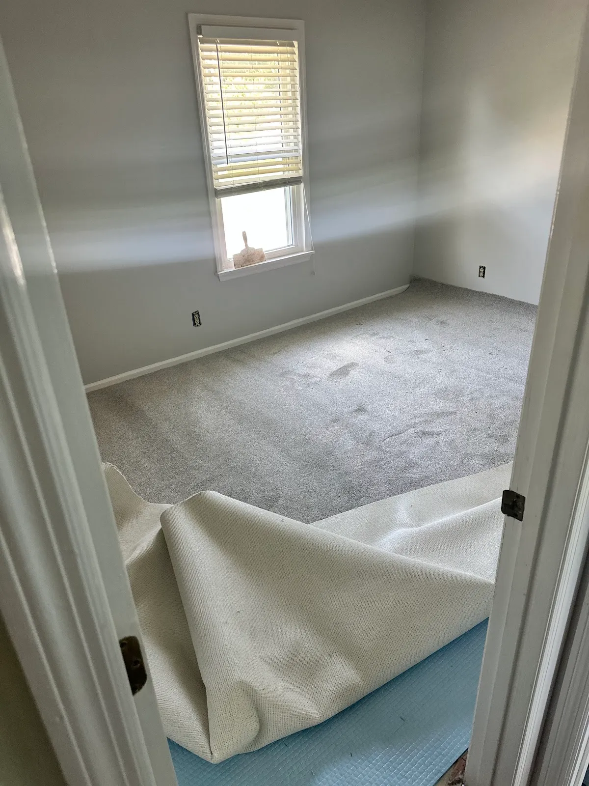 Wilson's Carpet Plus