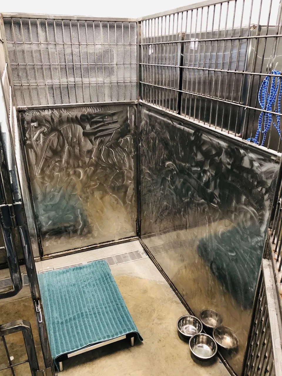 Florence Animal Hospital