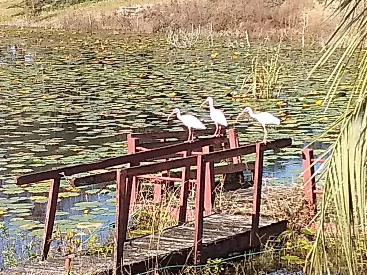 Hunters Lake