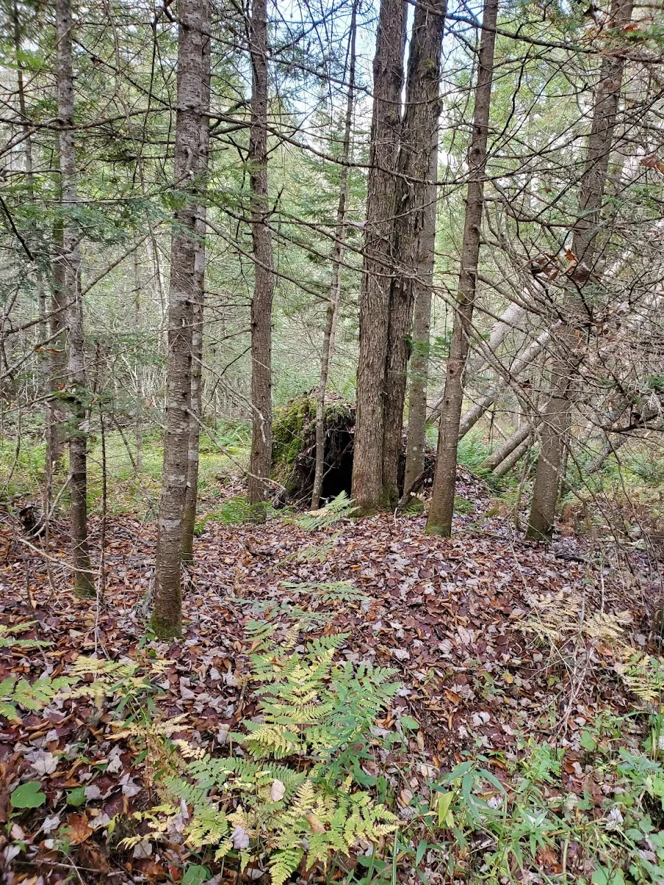 Shawangunk Nature Preserve