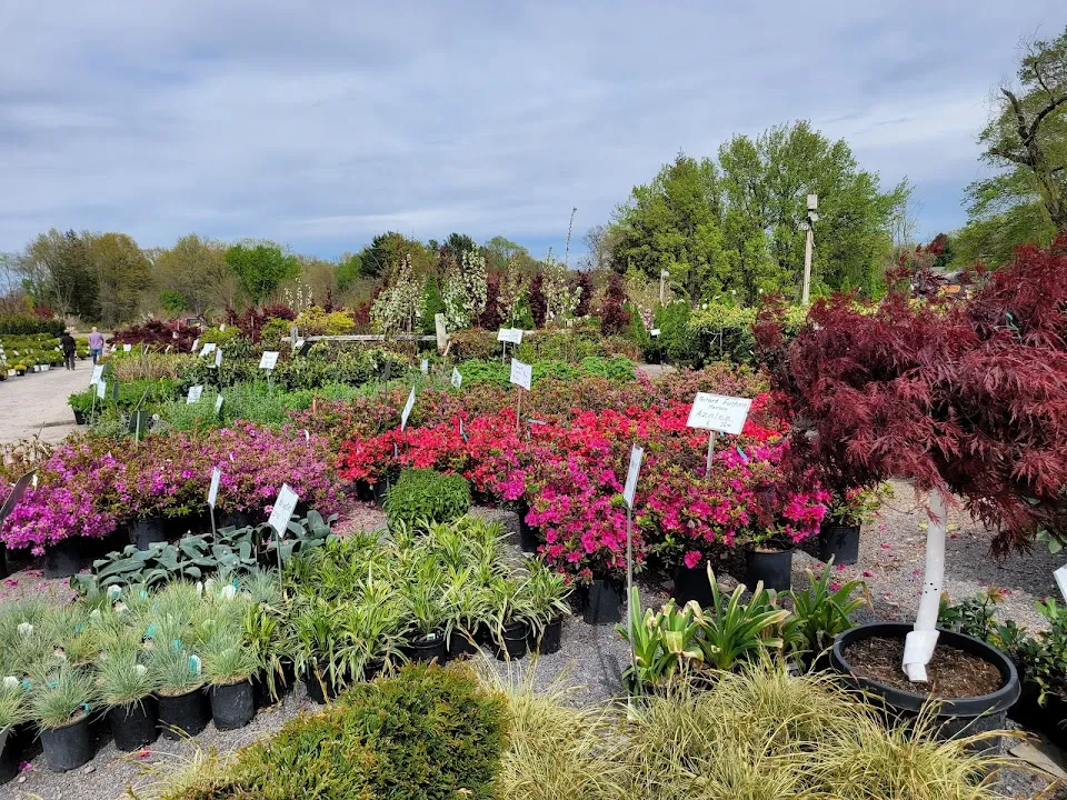 Manza Farm and Garden Center, Inc.