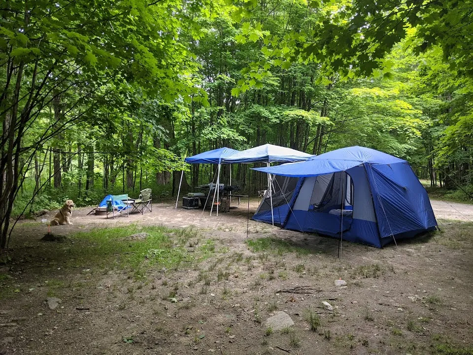 Pillsbury State Park