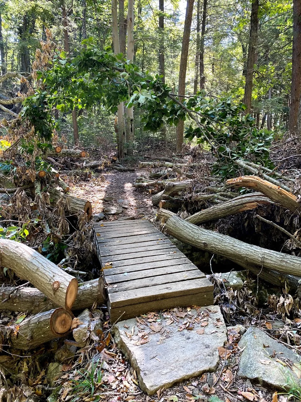 Appalachian Trail