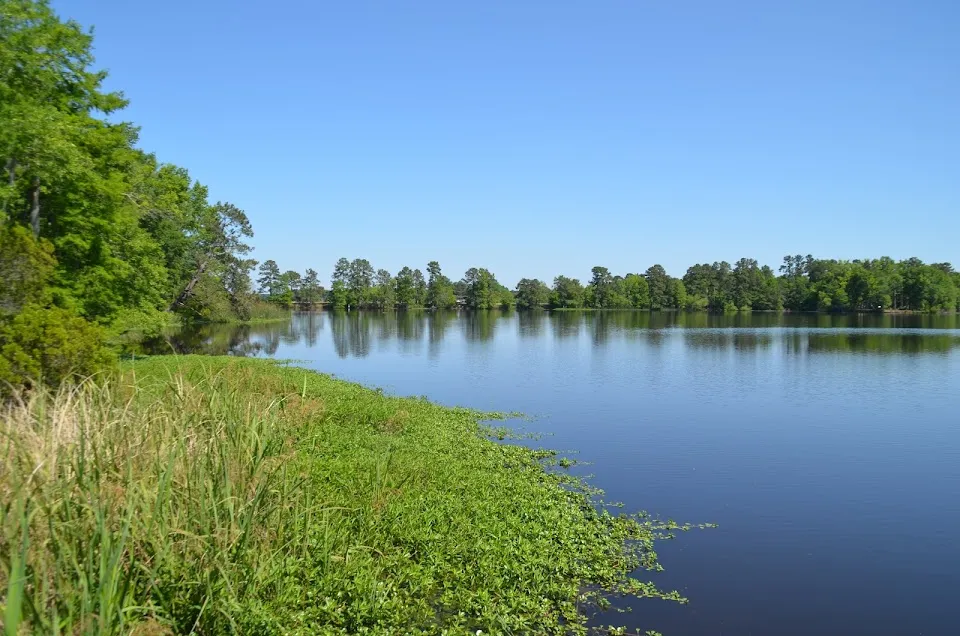 Taw Caw Creek Park