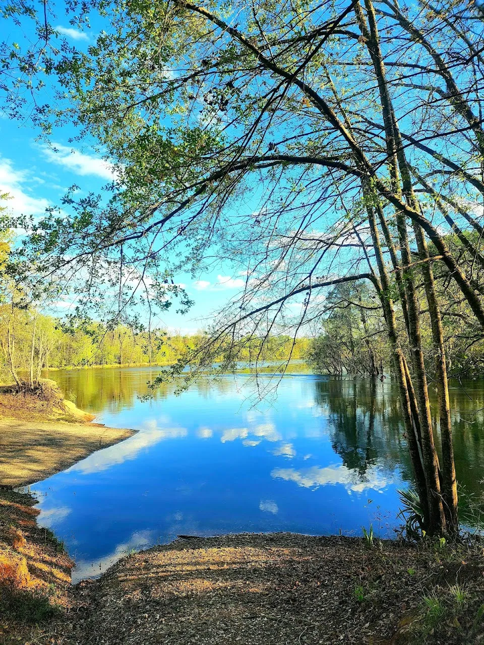 Savannah River