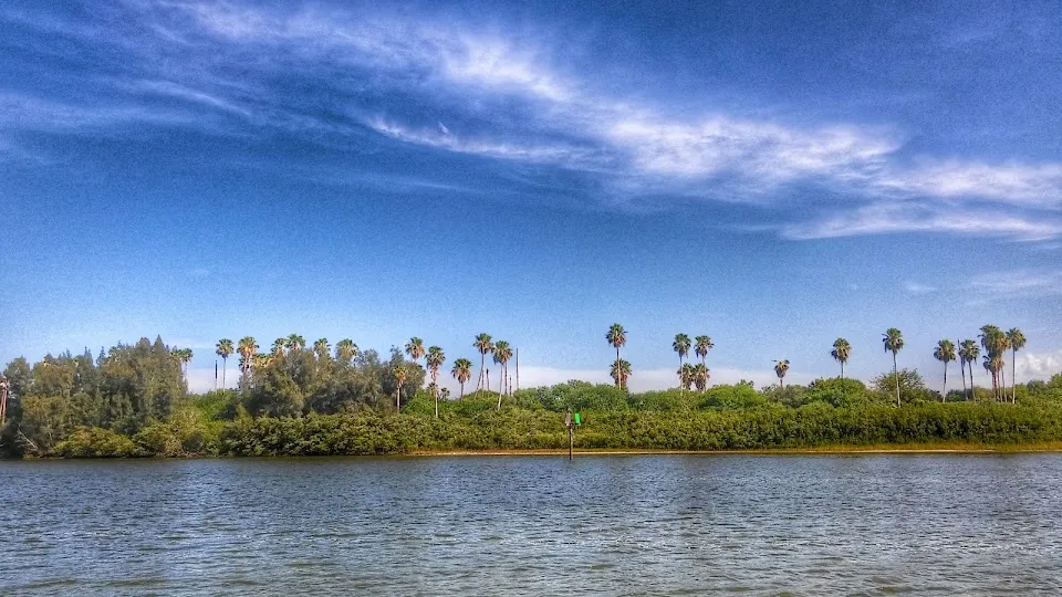New Smyrna Marina