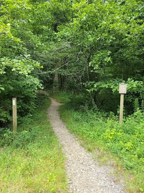 Appalachian Trail in Georgia