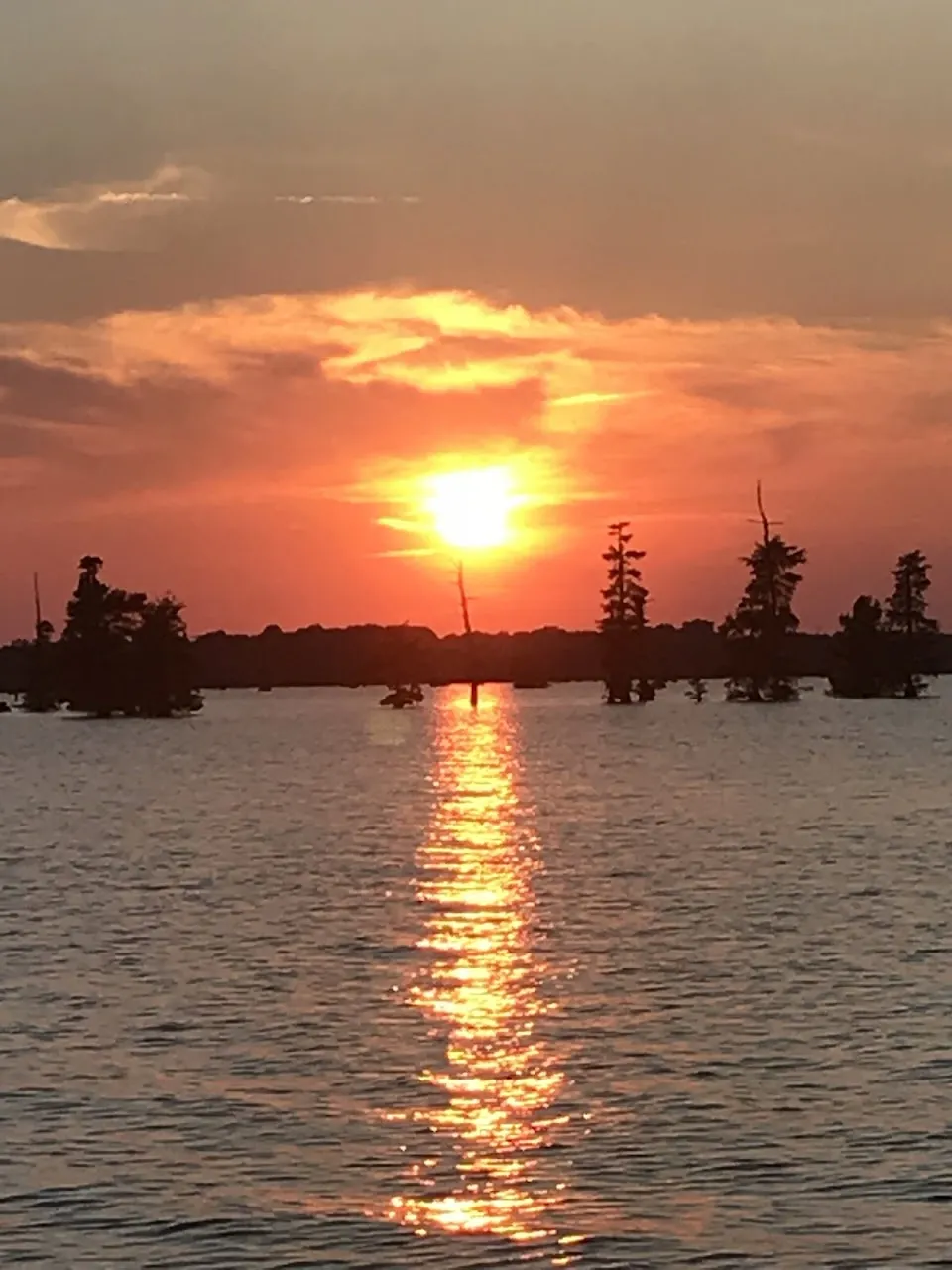 Elliott's Landing and Campground