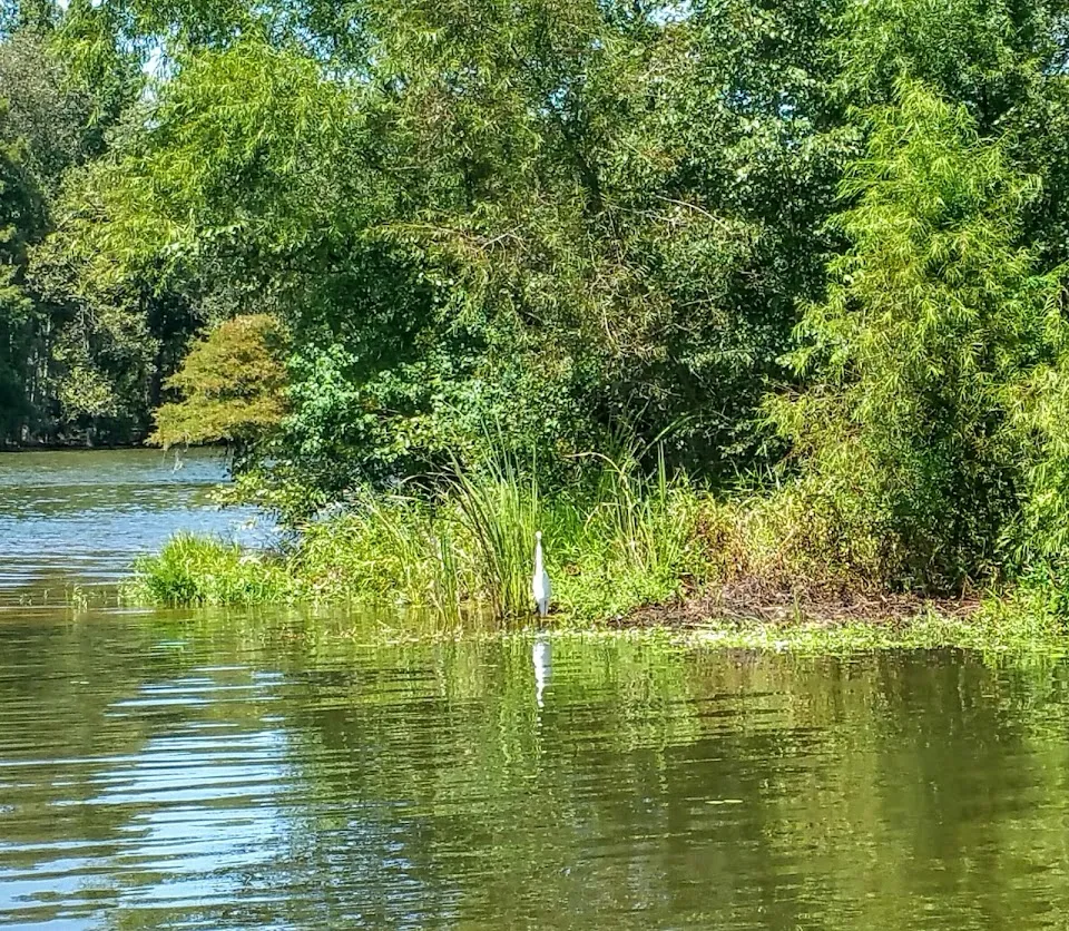 Blount's Landing