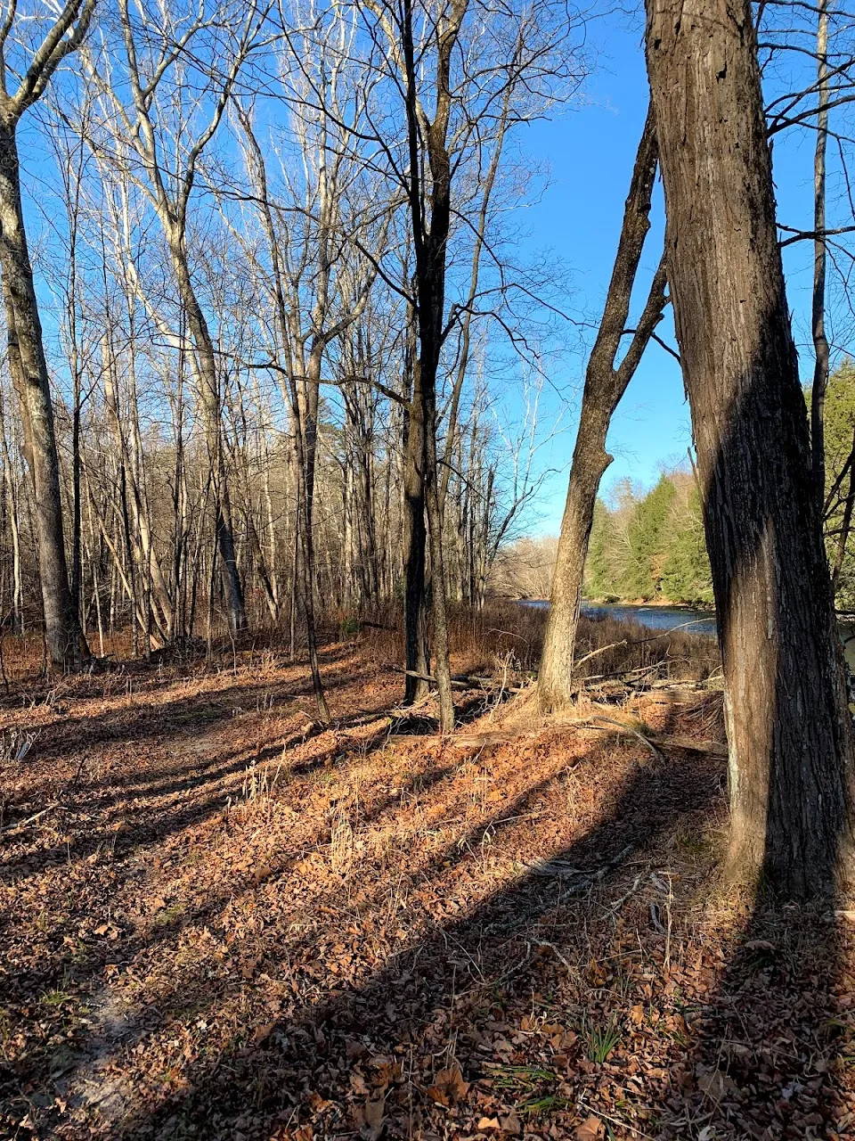 Neversink Preserve