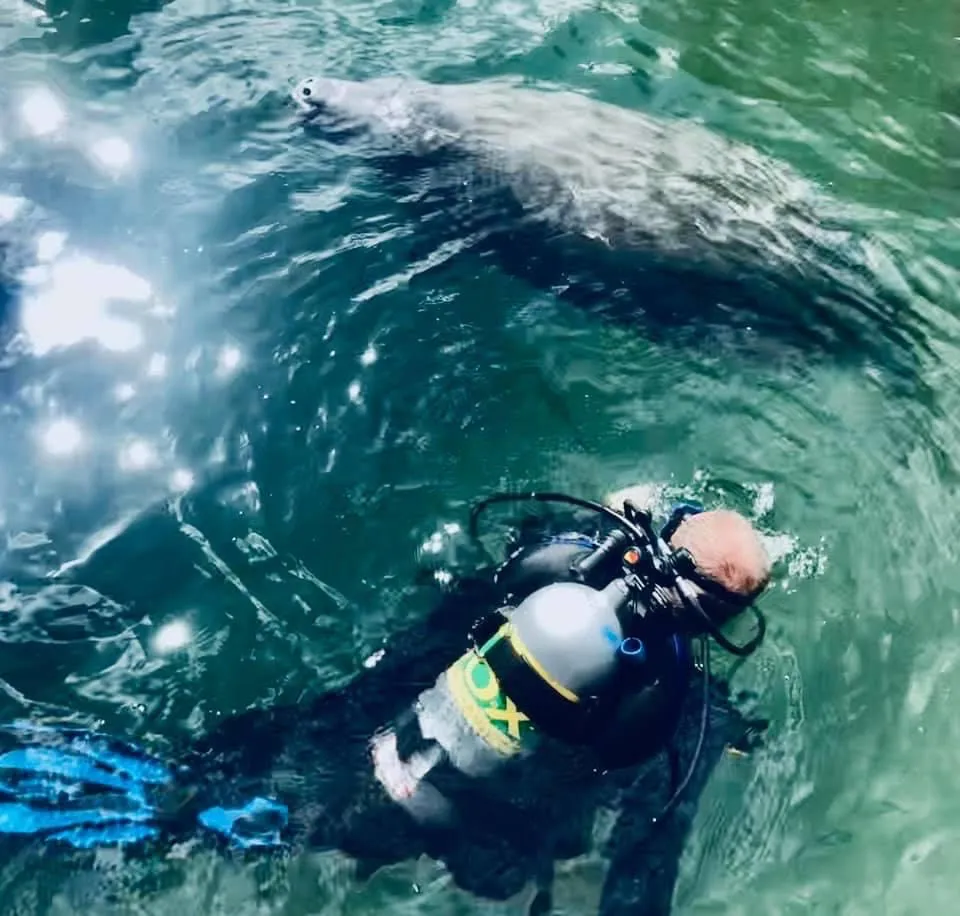 Hernando Beach Scuba
