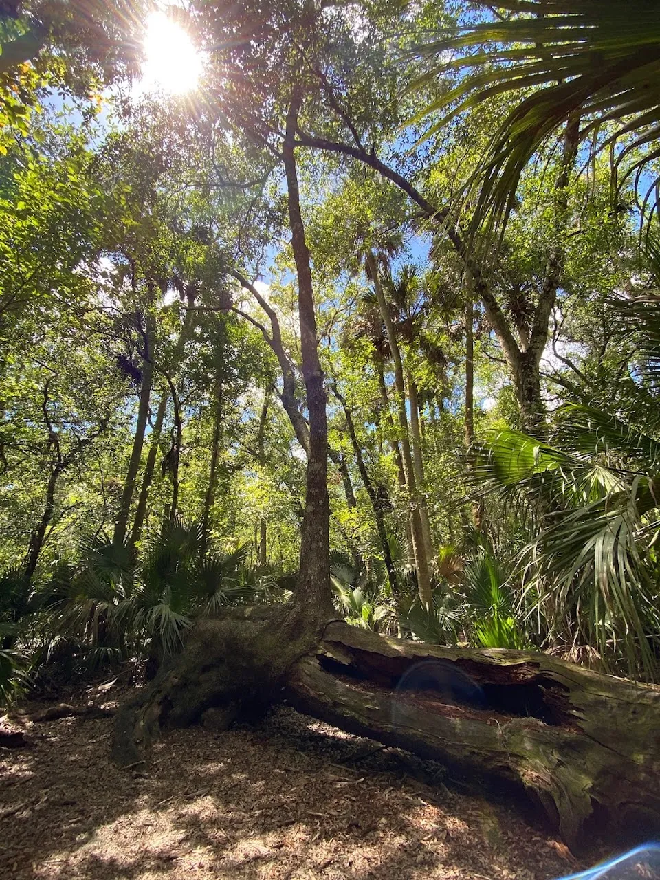 Hontoon Island State Park