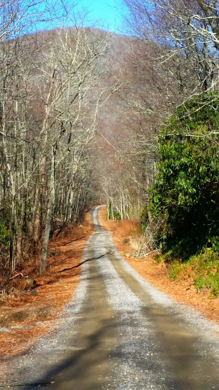 Nantahala Game Lands