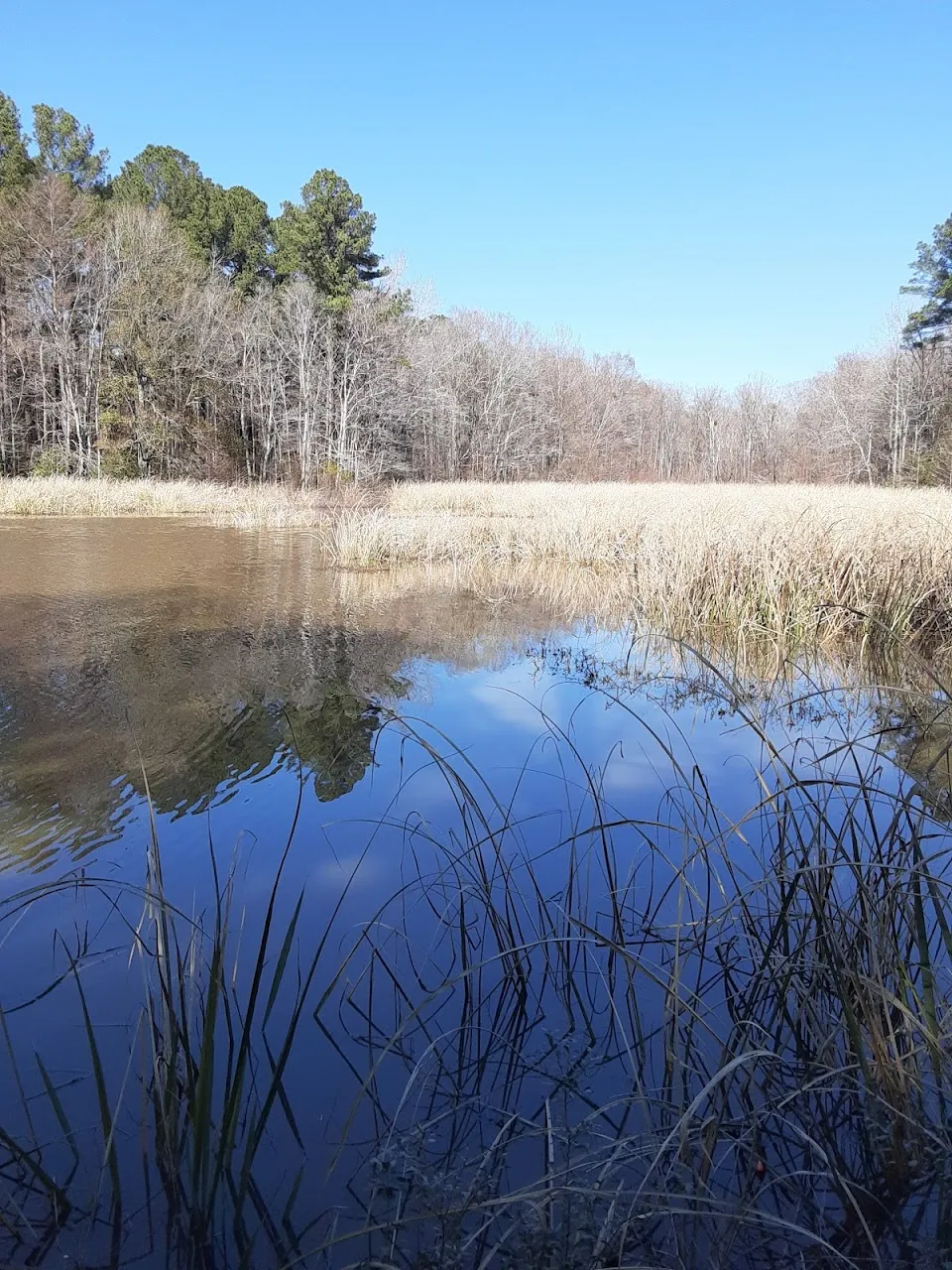 Taw Caw Creek Park