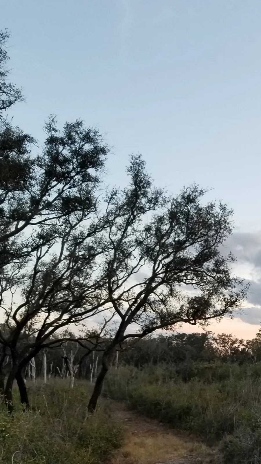 Cypress Lakes Preserve